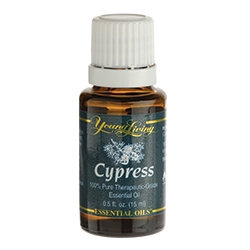 essential-oil-cypress